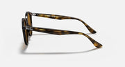 Ray-Ban round sunglasses side profile with tortoiseshell temples and dark lenses