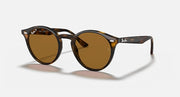 Ray-Ban round sunglasses with brown-tortoiseshell frame and olive-brown lenses
