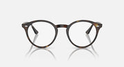 Ray-Ban round dark tortoiseshell sunglasses with clear lenses and metal hinge details