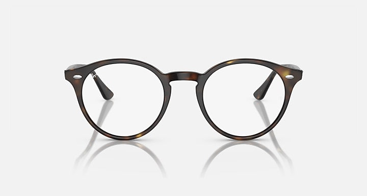 Ray-Ban round dark tortoiseshell sunglasses with clear lenses and metal hinge details