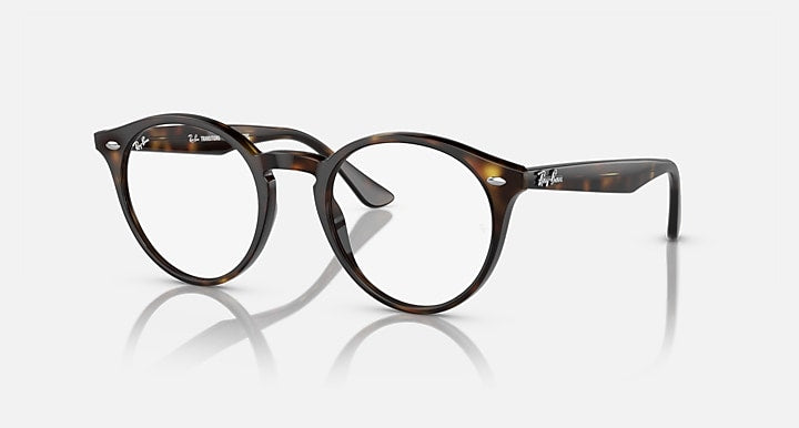 Ray-Ban round tortoiseshell sunglasses with clear lenses and slim metal temples