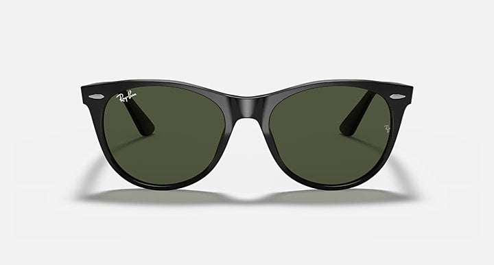 Black wayfarer-style sunglasses, dark green lenses, metal temple logos