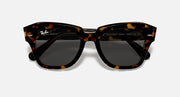RB2186 sunglasses with tortoiseshell frames and dark lenses, front view