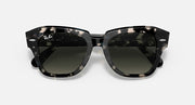 Tortoiseshell square sunglasses with dark green-tinted lenses and thick plastic frame