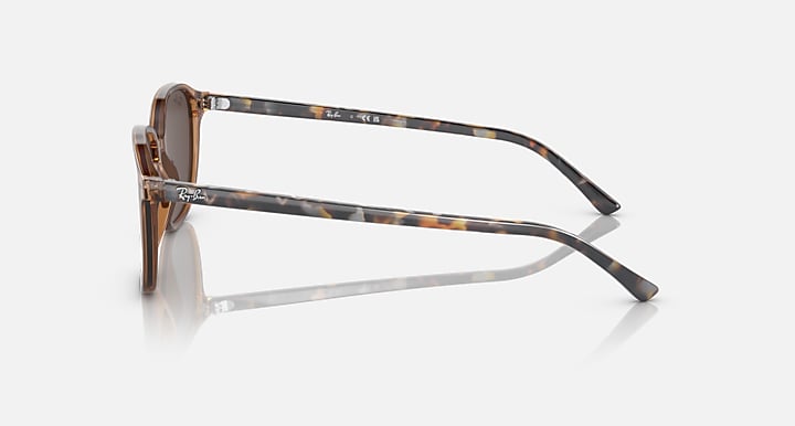 Ray-Ban Leonard low bridge fit sunglasses, side view with transparent brown striped temples