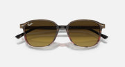 RB2193 sunglasses with dark frame and olive-brown tinted lenses