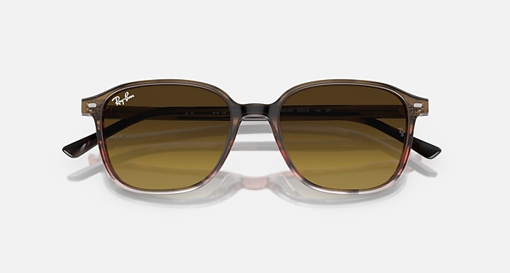 RB2193 sunglasses with dark frame and olive-brown tinted lenses
