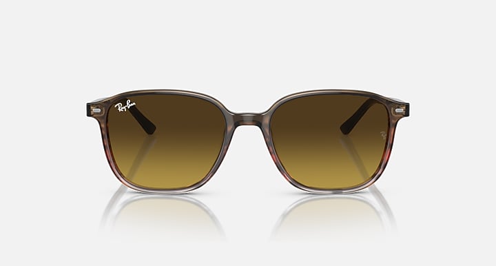 RB2193 sunglasses with dark tortoise frame and dark brown gradient lenses