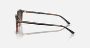 RB2193 sunglasses side view, tortoise frame with brown tinted lenses
