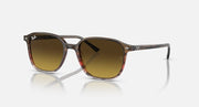 RB2193 sunglasses with tortoise frame and warm brown tinted lenses