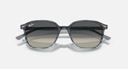 RB2193 sunglasses with black frame and dark smoke tinted lenses