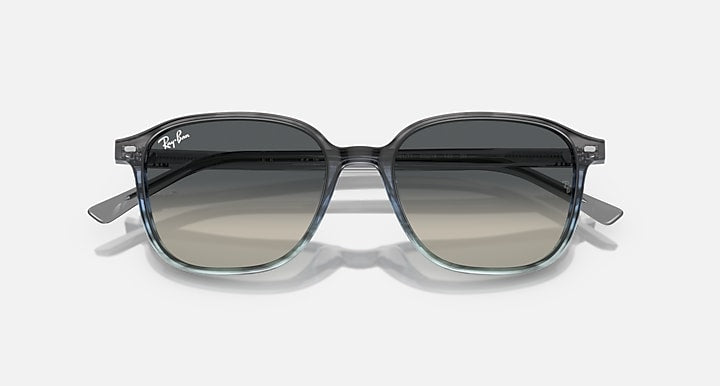 RB2193 sunglasses with black frame and dark smoke tinted lenses
