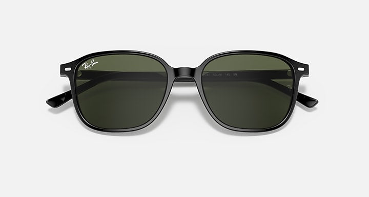 Leonard sunglasses with dark frame and dark green lenses, front view