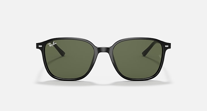 Leonard sunglasses with black frame and dark green lenses, full front view