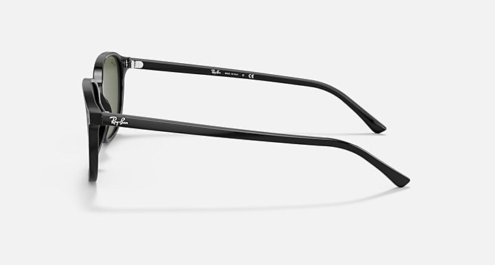 Leonard sunglasses side profile with black frame and dark green lens