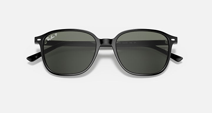 Ray-Ban Leonard RB2193 sunglasses with dark tinted lenses and black frame, front