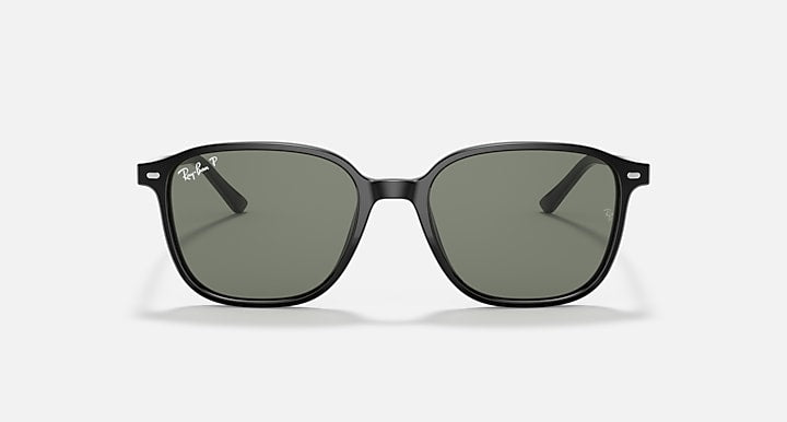 Ray-Ban Leonard RB2193 sunglasses with dark green lenses and black frame, front view