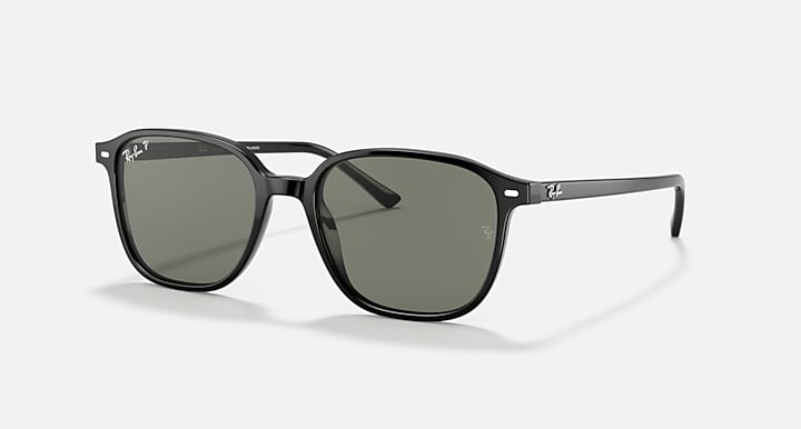 Ray-Ban Leonard RB2193 sunglasses with dark green lenses and black frame, angled