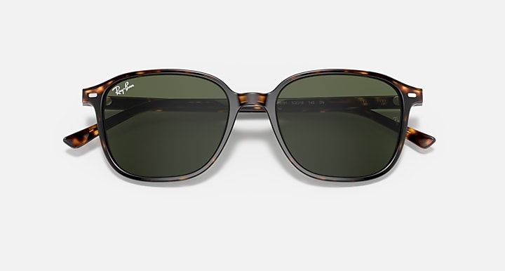 Leonard sunglasses with tortoise frame and dark green lenses, front view