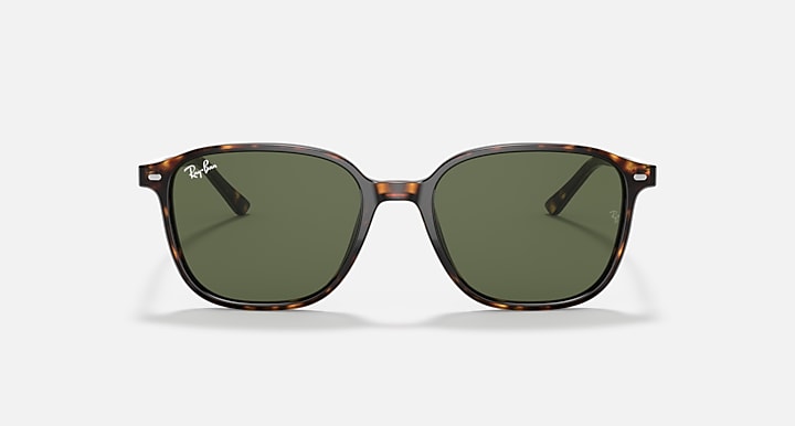 Leonard sunglasses with tortoise frame and dark green lenses, front view