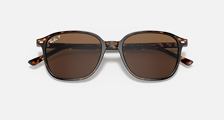 Ray-Ban Leonard RB2193 sunglasses with brown tinted lenses and tortoise frame, angled