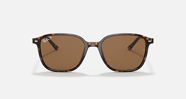 Ray-Ban Leonard RB2193 sunglasses with brown lenses and tortoise frame, front