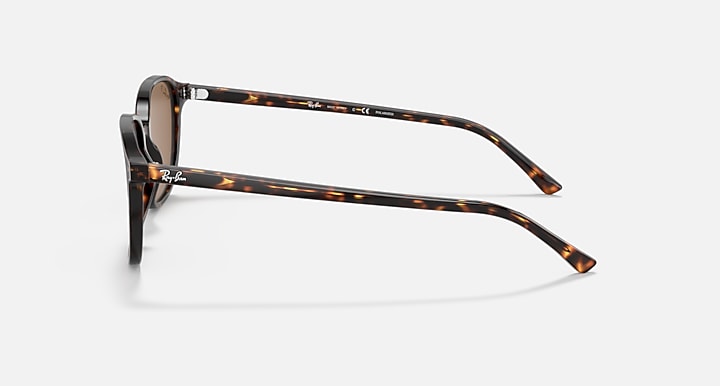 Ray-Ban Leonard RB2193 sunglasses side profile with tortoise frame and brown lenses