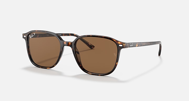 Ray-Ban Leonard RB2193 sunglasses with brown lenses and tortoise frame, angled