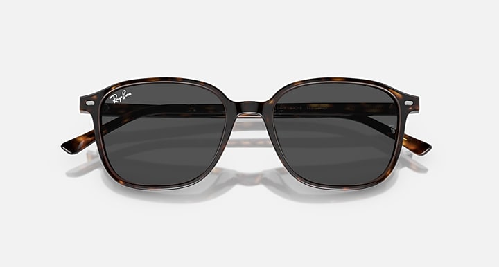 Leonard RB2193 sunglasses with tortoise frame and dark sunglasses lenses