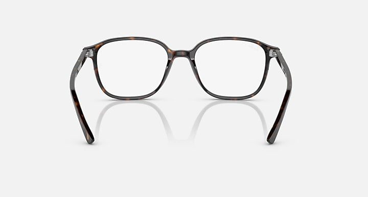 Leonard RB2193 sunglasses with dark brown frame and clear lenses