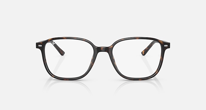 Leonard RB2193 sunglasses with tortoise frame and clear lenses