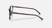 Leonard RB2193 sunglasses tortoise frame side view with clear lenses