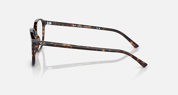 Leonard RB2193 sunglasses tortoise frame side view with clear lenses