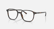 Leonard RB2193 sunglasses with tortoise frame and clear lenses
