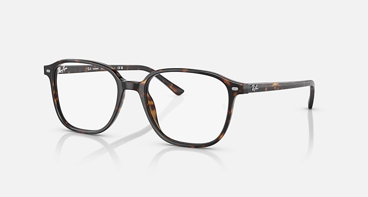 Leonard RB2193 sunglasses with tortoise frame and clear lenses