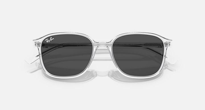 Leonard RB2193 sunglasses with clear frame and dark sunglasses lenses