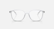 Leonard RB2193 sunglasses with clear frame and clear lenses