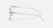 Leonard RB2193 sunglasses clear frame side view with dark lenses