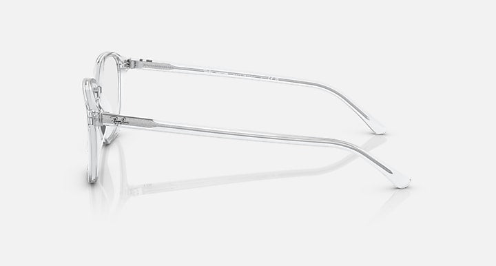 Leonard RB2193 sunglasses clear frame side view with dark lenses