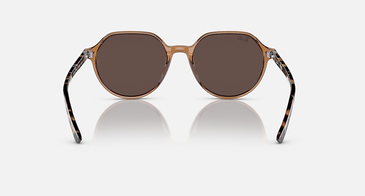 Ray-Ban Thalia RB2195 round sunglasses with dark brown lenses and tortoise-pattern arms