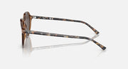 Ray-Ban RB2195 sunglasses with tortoise-pattern temples and clear lens fronts