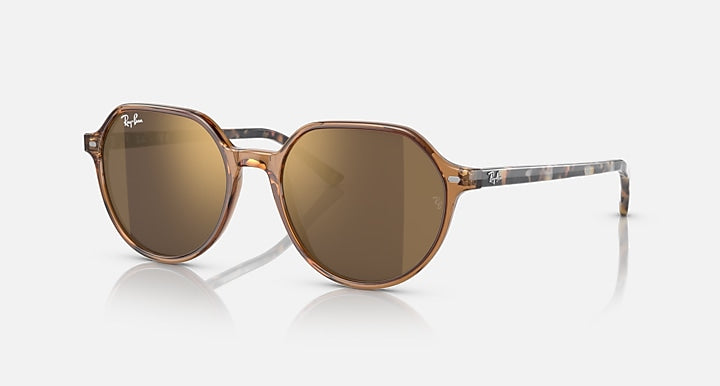 Ray-Ban Thalia RB2195 round sunglasses with brown-tinted lenses and gold-tone frame