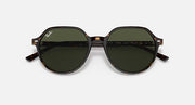 Ray-Ban Thalia RB2195 sunglasses with dark lenses and brown round frame