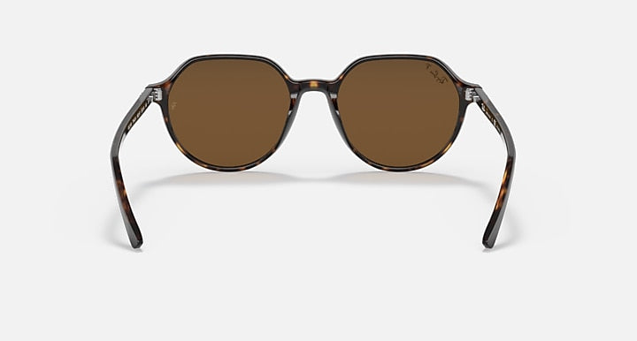 Ray-Ban Thalia sunglasses with striped tortoiseshell frame and brown lenses