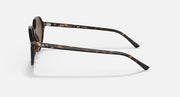 Ray-Ban Thalia sunglasses with striped tortoiseshell frame, side profile