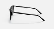 Black Ray-Ban sunglasses side profile with curved temple arm and logo details