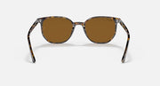 Tortoise sunglasses with brown lenses and rounded full front frame.