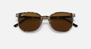 Tortoise sunglasses with dark brown-tinted lenses and visible temple tips.