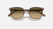 Tortoise-frame sunglasses with olive-brown lenses and rounded silhouette.