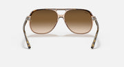 Ray-Ban Bill RB2198 sunglasses with havana-style frame and brown tinted lenses, straight-on.